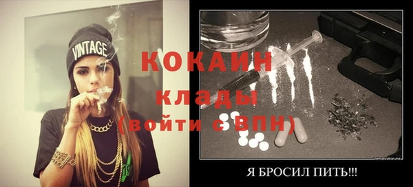 гидра Новодвинск
