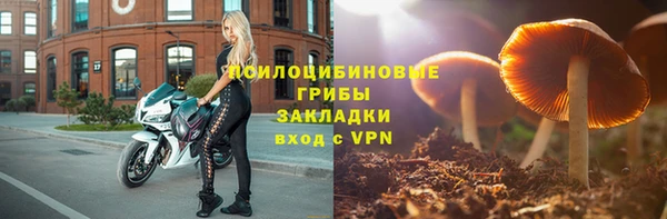 герыч Новозыбков