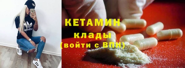 гидра Новодвинск