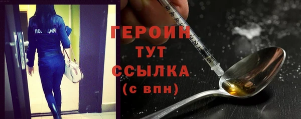 гидра Новодвинск