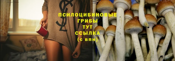 стаф Новый Уренгой