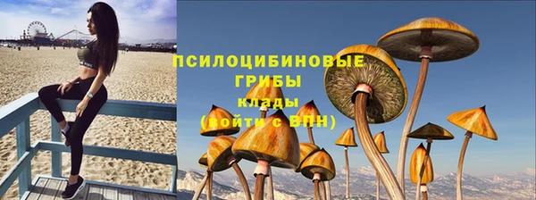 герыч Горняк