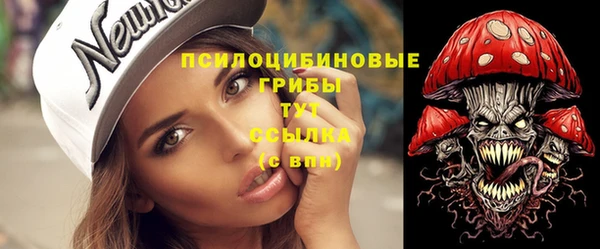 гидра Новокубанск