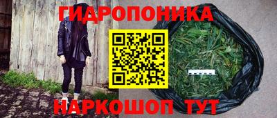 мдпв Мариинск