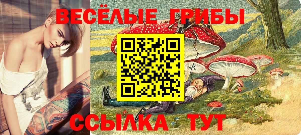 Галлюциногенные грибы Cubensis Слободской